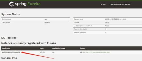 Spring Cloud中的Eureka服務(wù)注冊(cè)與發(fā)現(xiàn)詳解及其與互聯(lián)網(wǎng)域名注冊(cè)服務(wù)的類比